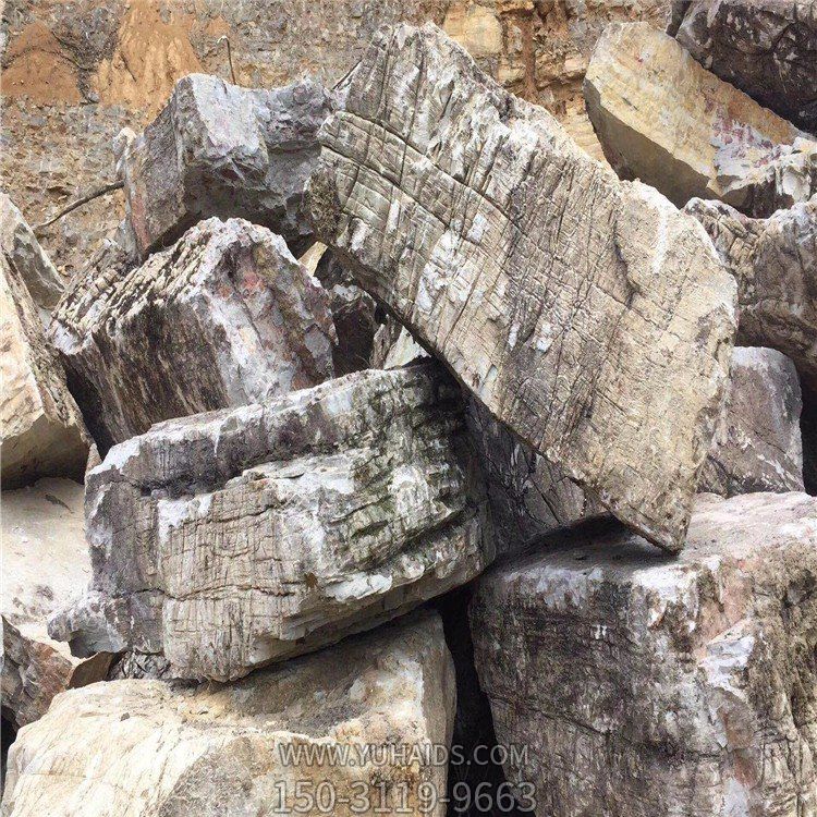 公園景區(qū)大型龜紋石石雕園林假山擺件雕塑