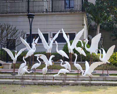 公園廣場(chǎng)一群玻璃鋼飛翔的鶴雕塑