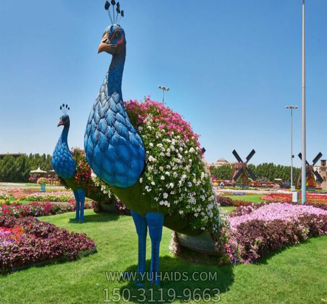 公園里兩只拖著(zhù)漂亮的尾巴的玻璃鋼彩繪孔雀雕塑