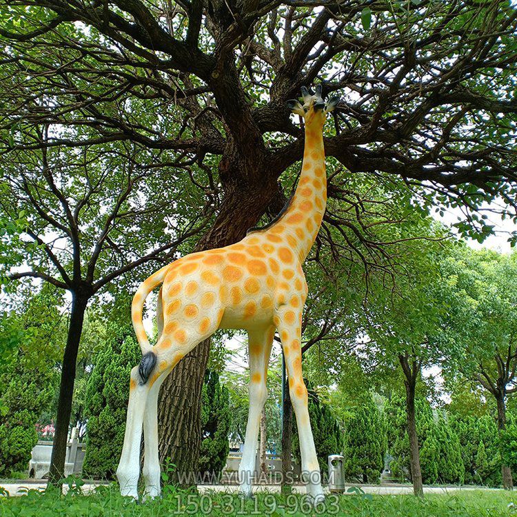 玻璃鋼仿真長(cháng)頸鹿，公園園林草坪動(dòng)物景觀(guān)雕塑